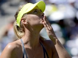 Sharapova se acerca a poco más de 300 puntos de Williams en la clasificación mundial. EFE /
