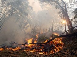 Aseveró que ante la grave situación que se vive el gobierno estatal ya ha solicitado apoyo a estados vecinos como Querétaro. ARCHIVO /