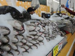 Los productos del mar presentan un mayor incremento de precios. ARCHIVO /