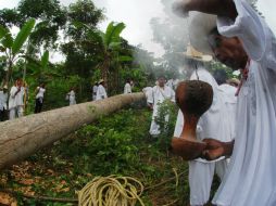 La iniciativa busca la revitalización biocultural de esta región. NTX /