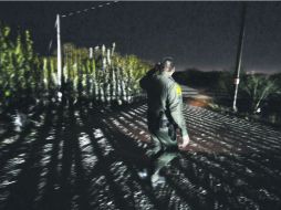 Con la expedición de visas ''W’'', cada año llegarán miles de trabajadores poco calificados a EU, sin el riesgo de ser aprehendidos. EFE /