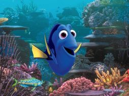 Ahora la búsqueda será por la distraída pececita azul Dory; el equipo disney se esfuerza por llevarla a la pantalla en el 2015. ESPECIAL /