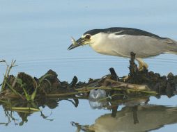 Piden preservar los recursos naturales. ARCHIVO /