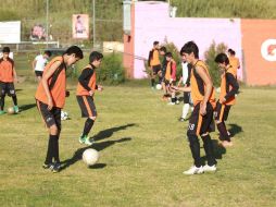 Se prevé implementar el programa a partir del próximo verano. ARCHIVO /