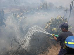 Los brigadistas siguen verificando que no exista más fuego. NTX /