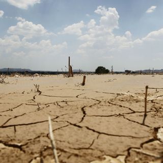 Sequía daña a más del 50 por ciento del territorio nacional