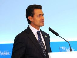 El jefe del Estado Mexicano sostendrá una reunión privada con el primer ministro Shinzo Abe. NTX /