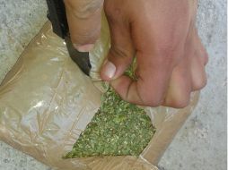 Los 11 paquetes de mariguana quedaron a disposición de las autoridades. ARCHIVO /