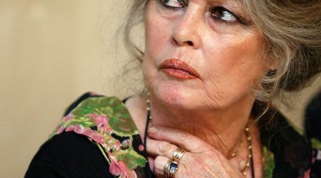 Brigitte Bardot, antiguo símbolo sexual durante los años 60, a la defensa del mejor amigo del hombre. ARCHIVO /