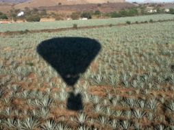 A la fecha han brindado el servicio a más de tres mil 162 pasajeros. ESPECIAL /