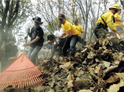 El gobernador Aristóteles Sandoval participó ayer de las tareas de limpieza de las brechas contra el fuego. ESPECIAL /