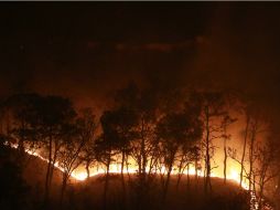Vista del incendio desde Pinar de la Venta.  /