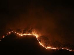 El fuego en el Bosque La Primavera comenzó a propagarse la tarde del domingo. ARCHIVO /