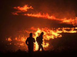 La autoridad confirma que el nuevo incendio en La Primavera fue resultado de un “día de campo”.  /