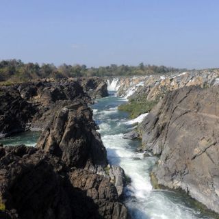 Sólo 14% del Gran Mekong albergará vida salvaje en 2030