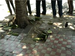 Se busca generar el respeto a las banquetas. ARCHIVO /