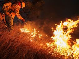 Ante la situación, los presentes en el incidente buscaron ayudar al ejidatario, sin embargo, fallece debido a los golpes. ARCHIVO /