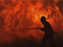 Los incendios en el estado han afectado a mil 850 hectáreas del municipio de Solidaridad. ARCHIVO /