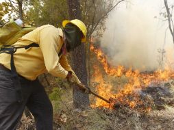 Durante la época crítica (abril-junio) los brigadistas de Conafor laboran un promedio de 12 a 14 horas diarias. ARCHIVO /