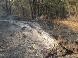 Uno de los incendios que ha dejado más afectaciones es el de Cerro Viejo, en Tlajomulco. ARCHIVO /