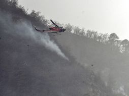 El jefe de bomberos de El Arenal, Trinidad Luna, señala que el viento ha provocado que las llamas se propaguen rápidamente. ARCHIVO /