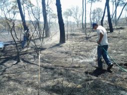 Los vecinos aclararon que han sido instruidos por brigadas forestales para saber actuar en el combate contra incendios.  /