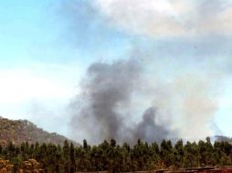 En lo que va del año se estima en 13 mil 697 las héctareas afectadas por el fuego. ARCHIVO /