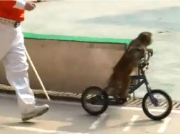 El video ya tiene más de 101 mil reproducciones. ESPECIAL /