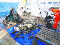 Las rocas fueron sacadas del mar durante los trabajos de dragado, a mil 500 kilómetros de la costa de Río de Janeiro. AFP /