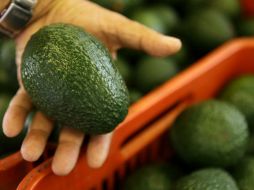 Las exportaciones de aguacate superarán este año las 454 mil toneladas, informa la Apeam. ARCHIVO /