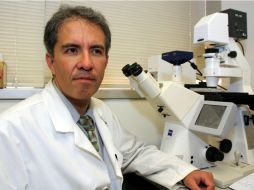 Jesús Araujo, director de Cardiología Medioambiental de la escuela de medicina UCLA. EFE /