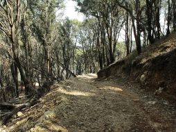 El 25 de junio de 2011, las fuertes lluvias ocasionaron un deslave que daño viviendas y calles de las zonas habitadas al cerro. ARCHIVO /