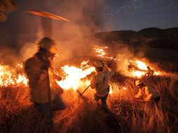 En lo que va de 2013, los incendios forestales han consumido cerca de 30 mil hectáreas en el Estado. ARCHIVO /