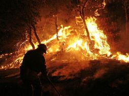 Los Encinos, Talpa y Las Jirillas también presentan afectaciones por el fuego. ARCHIVO /