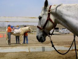 En promedio atienden 70 pacientes cada mes, las sesiones van de 15 a 30 minutos de acuerdo con la discapacidad. ARCHIVO /