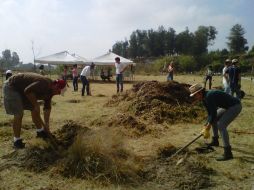 Se trató de la primera etapa para la creación del bosque urbano tomará cuatro domingos más.  /