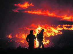 Incendio. Durante la administración de Emilio González Márquez se destinaron 19 millones 660 mil pesos de presupuesto al bosque. EL INFORMADOR /