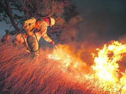 Los daños acumulados por incendios forestales en Jalisco(36 mil 369 hectáreas) equivalen a la extensión similar del bosque La Primavera EL INFORMADOR /
