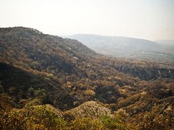 El 50% de los terrenos que comprenden el área natural protegida del Bosque de la Primavera son propiedad privada. ARCHIVO /