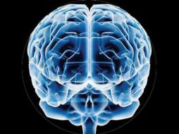 El método usado consiste en replicar fuera del cuerpo humano el proceso comunicativo que tendría lugar dentro del organismo. ARCHIVO /