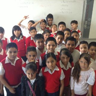 Opino, luego escribo