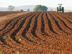 El desarrollo integral agrario es considerado uno de los principales factores de la violencia política en Colombia. ARCHIVO /