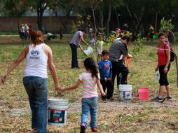 A lo largo de la semana se plantaron árboles en diferentes lugares de la ZMG para celebrar esta fecha. ARCHIVO /