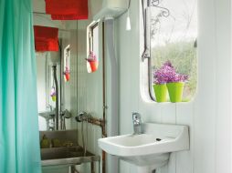 Algunas de las plantas de sombra ideales para la decoración interior son los helechos, los crotos, las amoneas o las cunas de Moisés. ESPECIAL /