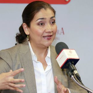 Recomiendan al Congreso descartar ''Hoy no circula''