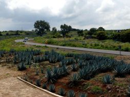 Las Vías Verdes se desarrollarán a lo largo de 103 kilómetros de longitud y consta de dos tramos. ARCHIVO /