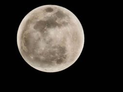 La luna estará a una distancia de 356.991 kilómetros de la Tierra. ARCHIVO /
