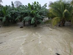 Las fuertes lluvias causadas por la depresión tropical Barry provocan la muerte de una mujer y la desaparición de un niño. ARCHIVO /