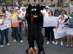 Desde las 12 del medio día y hasta las 17:00 horas se reúnen un grupo de 40 personas que manifiestan su rechazo al maltrato animal.  /