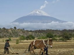 El Cenapred indica que la Alerta Volcánica del Popocatépetl continúa en Amarillo Fase Dos. ARCHIVO /